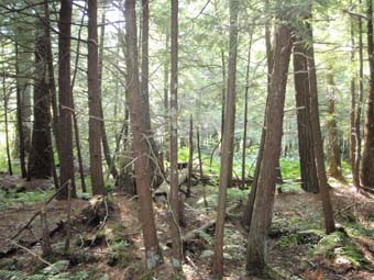 community photo